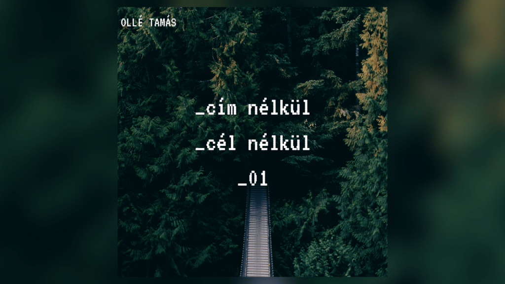 _cím nélkül_cél nélkül_01